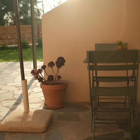 Olive Grove Boutique 2 Διαμέρισμα Agios Panteleimon (Corfu)